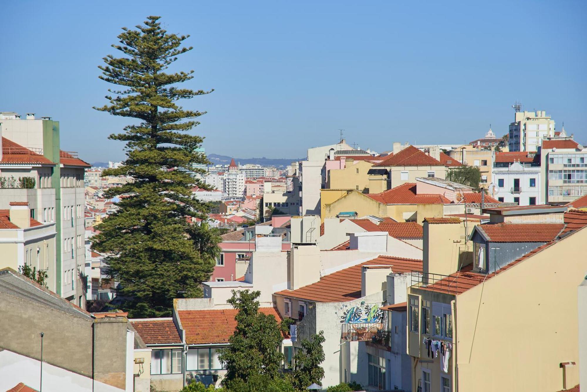 Sunny Graca, River View, By Timecooler * Lisbon